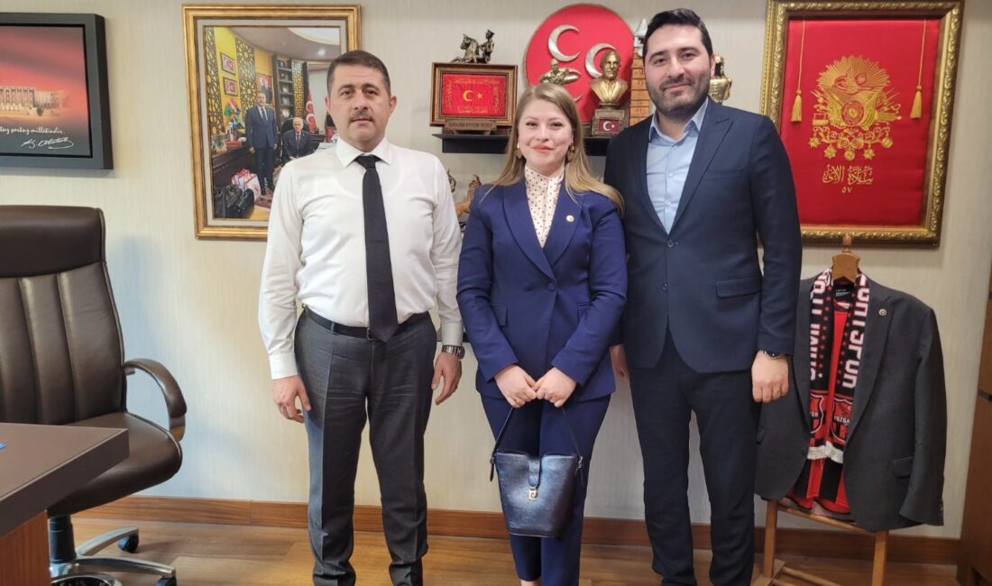 Milliyetçi Hareket Partisi (MHP) Yozgat Milletvekili İbrahim Ethem Sedef, Türkiye