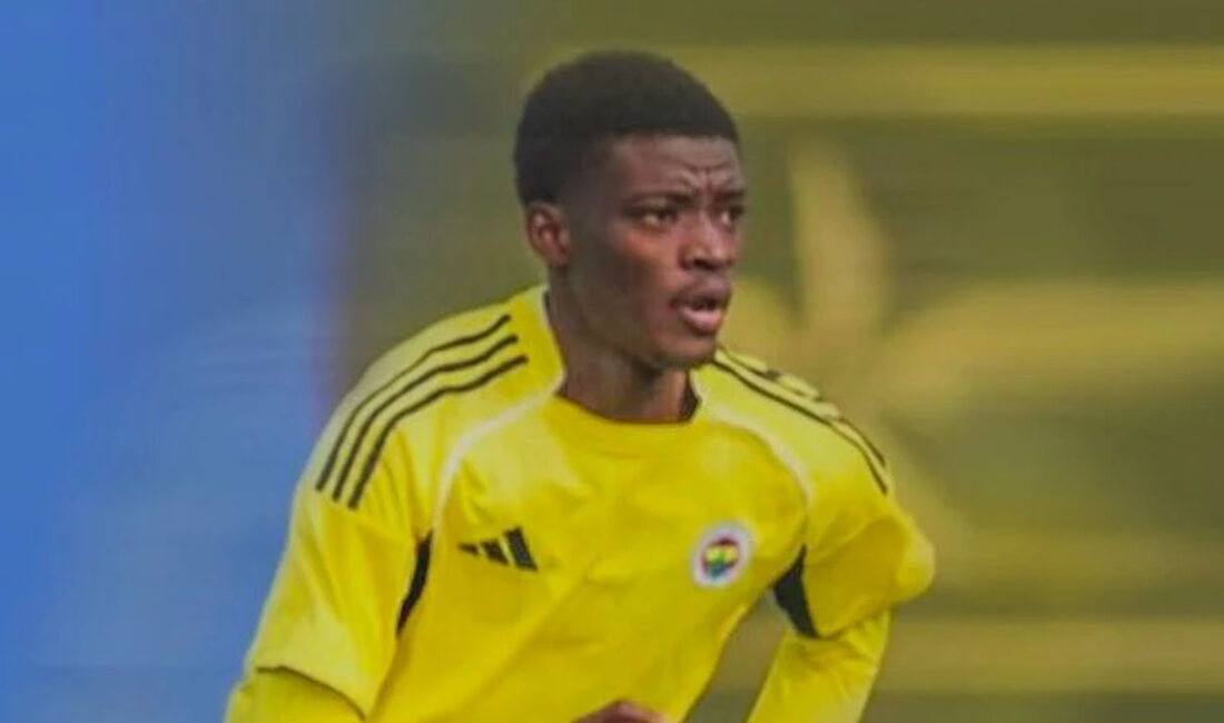 Fenerbahçe Futbol Akademisi, son yıllarda gerçekleştirdiği gençleştirme operasyonlarına bir yenisini