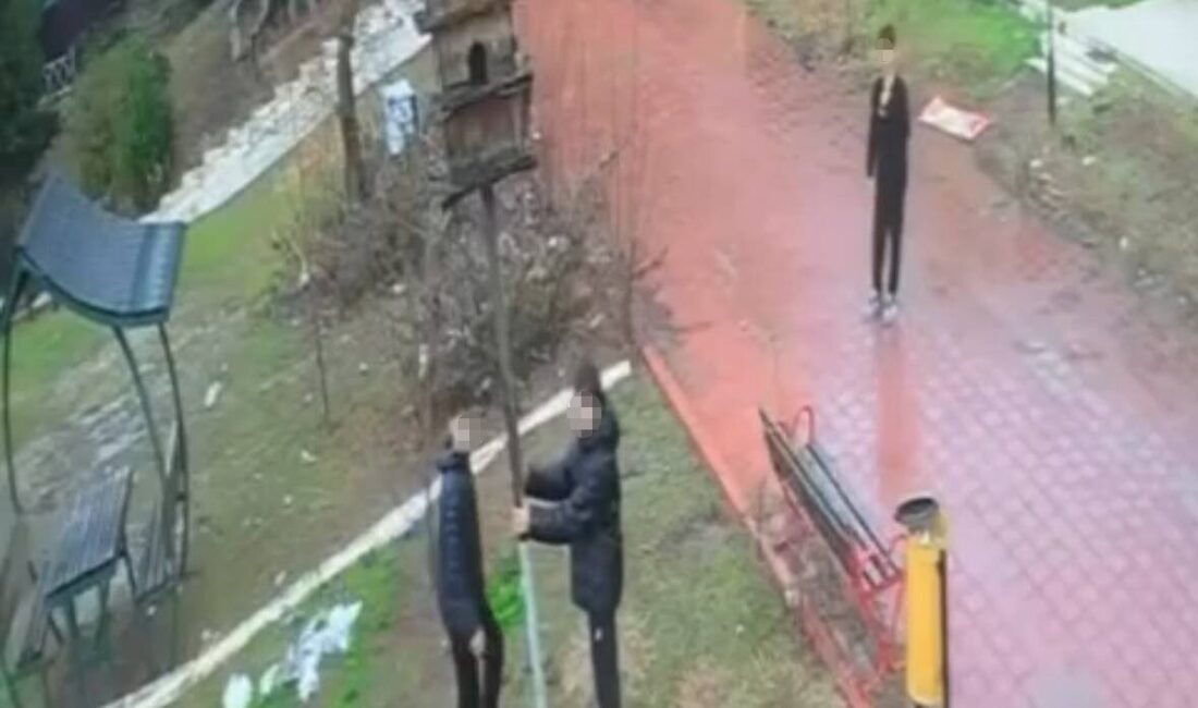 Adana’da bir çocuk grubunun parktaki kuş yuvasına zarar verirken görüntülendiği