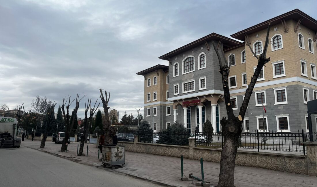 Yerköy’de Hükümet Konağı çevresinde bulunan ağaçlarda bakım ve budama çalışması