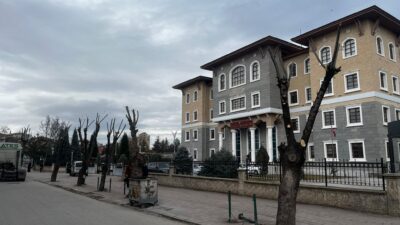 Yerköy’de Hükümet Konağı çevresinde bulunan ağaçlarda bakım ve budama çalışması