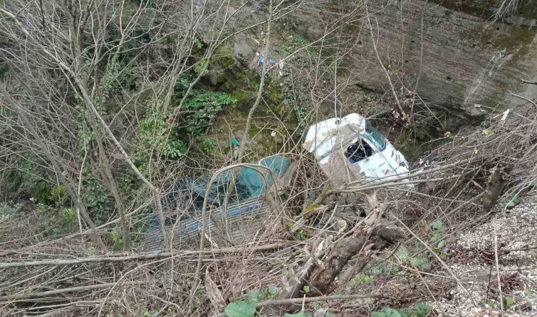 Zonguldak’ın Alaplı ilçesinde, Yığılca yolu Kabalar köyü Burgaz mevkiinde meydana