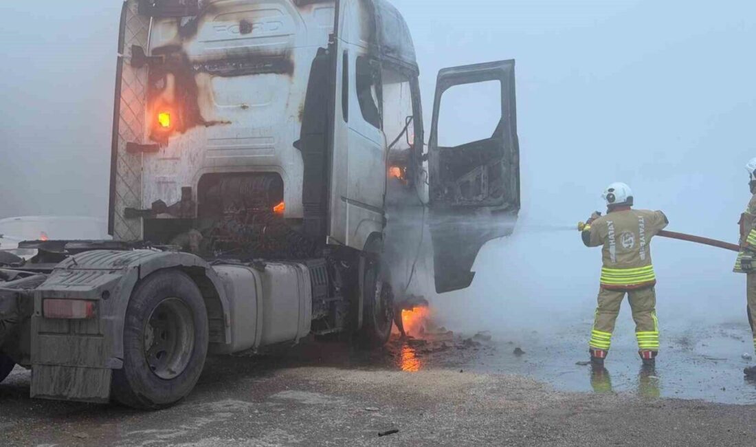 Hatay’ın Belen ilçesinde seyir halindeyken alevler arasında kalan bir tır