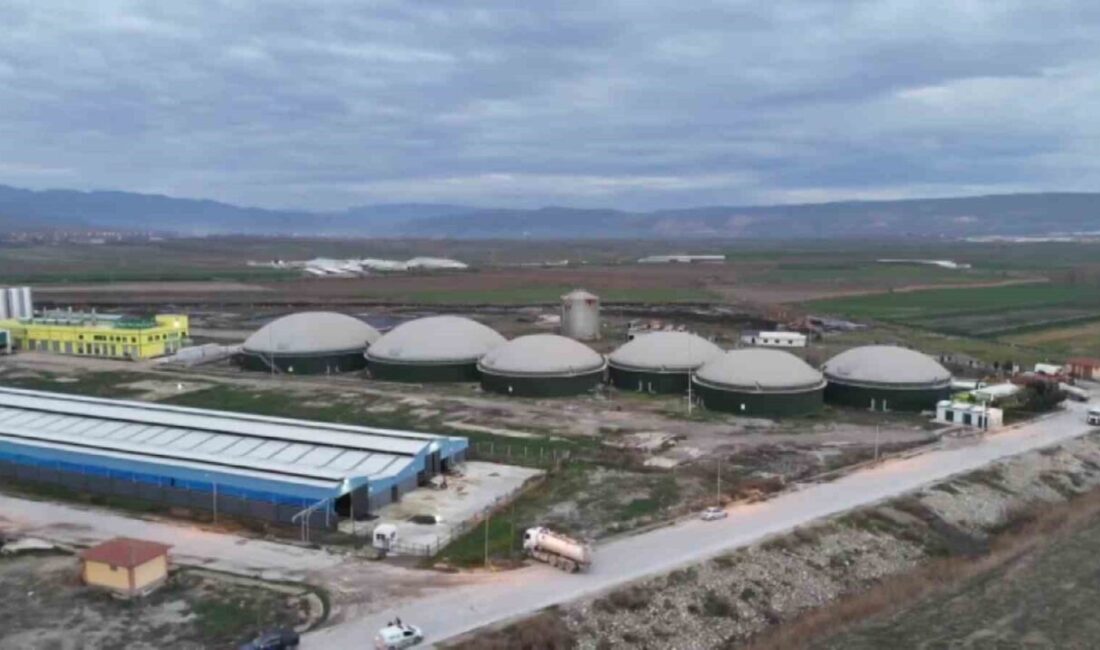 Amasya’nın Suluova ilçesinde bulunan bir biyogaz tesisinde gazdan zehirlenerek hayatını
