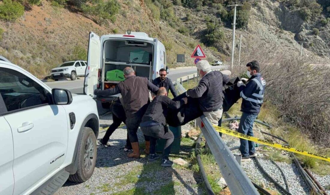 Gazipaşa ilçesinde sabah saatlerinde yol kenarında cansız bir şekilde bulunan