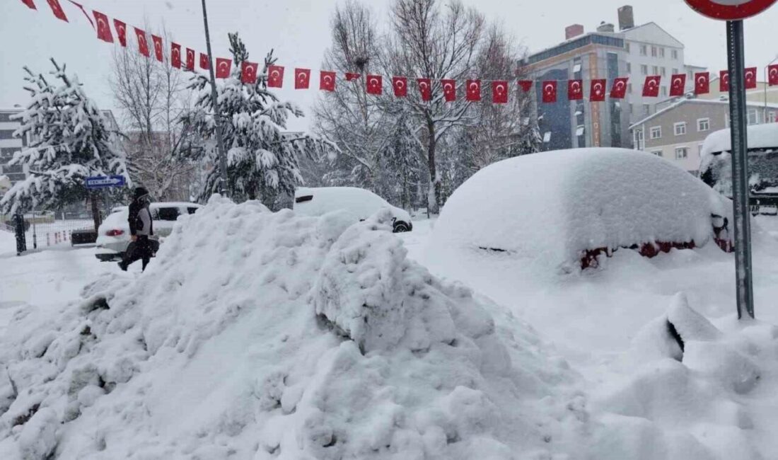 Ardahan ilinde şiddetli kar yağışı olumsuz etkiler yaratmakta. Bugün, kentteki