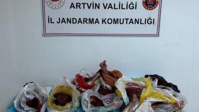 Artvin’de Jandarma ekipleri, kaçak avcılıkla mücadele kapsamında yapılan kontrollerde 60
