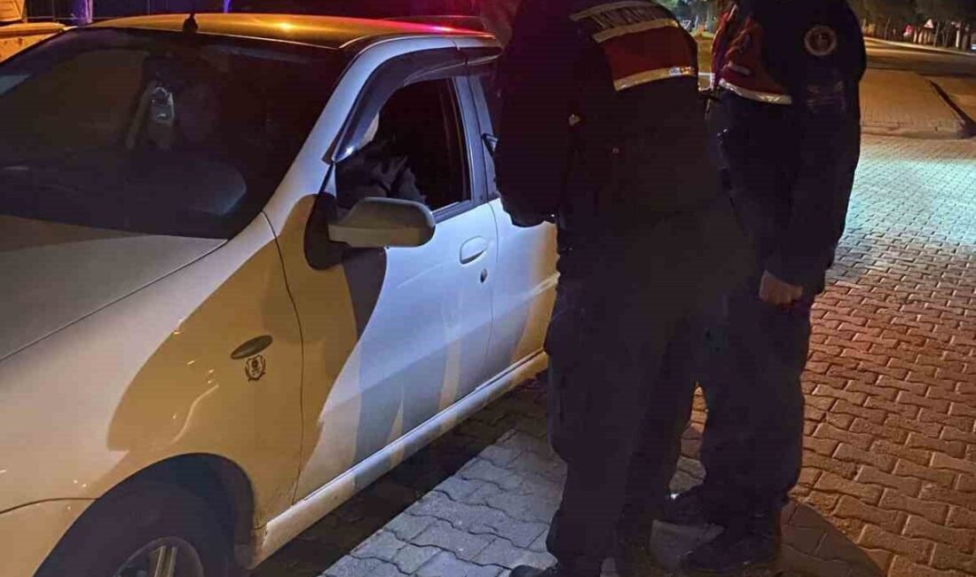 Aydın genelinde İl Jandarma Komutanlığı ekipleri tarafından düzenlenen ’Çember-110’ operasyonu