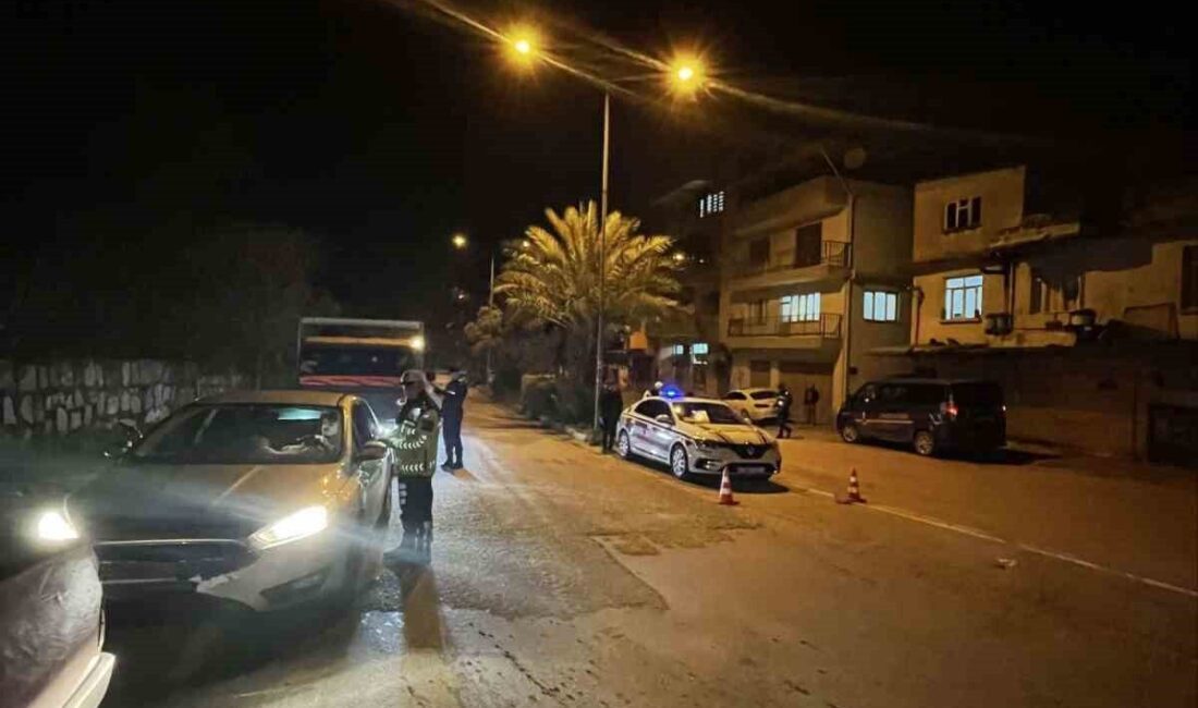 Aydın ilinde, jandarma ekipleri tarafından gerçekleştirilen “Çember-112” operasyonu sonucunda 44