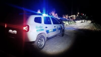 Germencik ilçesinde, Menderes Nehri kenarındaki bataklık alana saplanan büyükbaş hayvan,