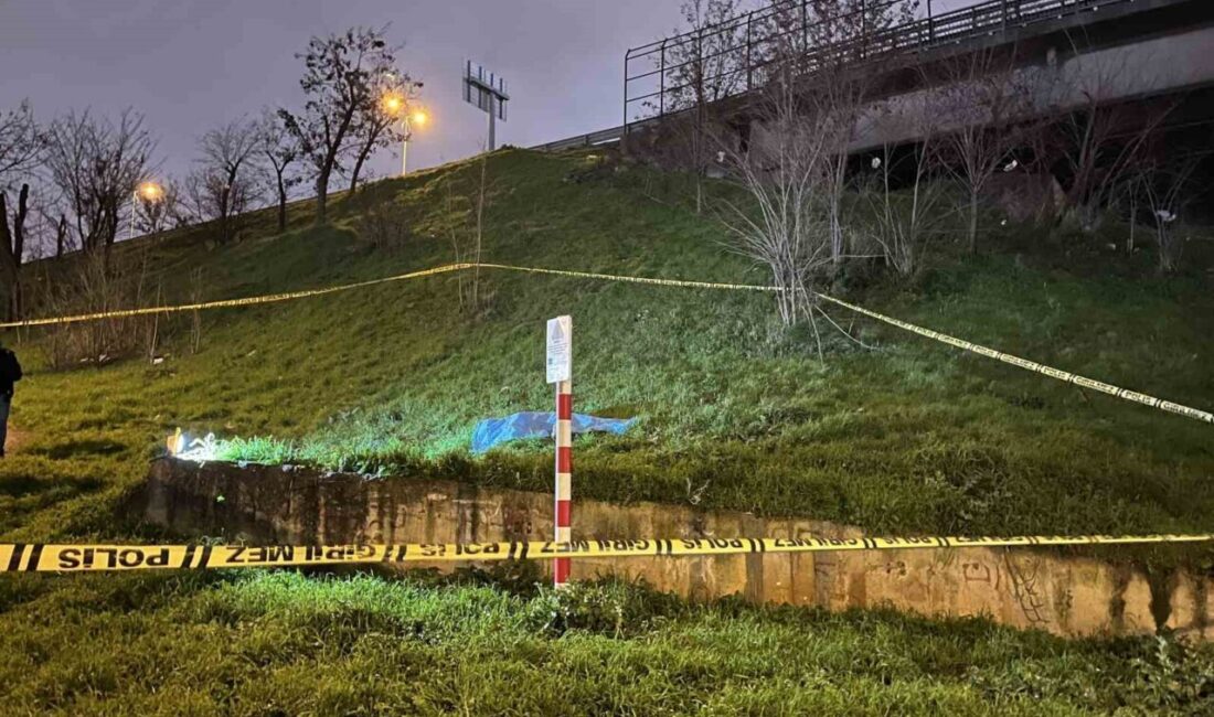İstanbul’un Bayrampaşa ilçesinde, otoyol kenarındaki yeşil alanda bir erkek cesedi