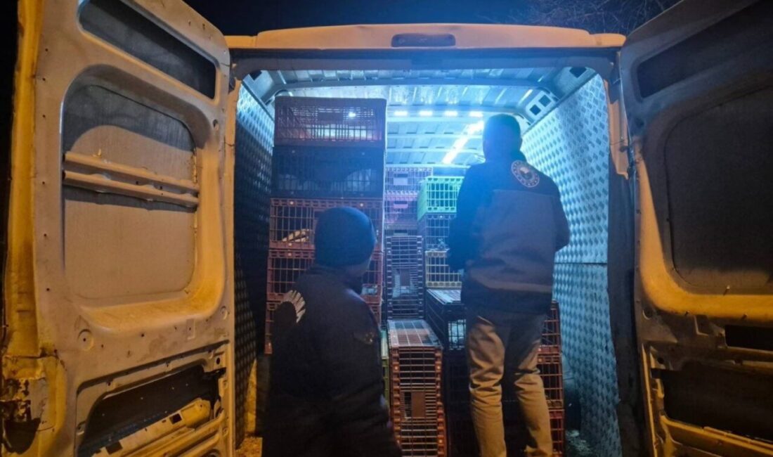 Bozüyük ilçesinde dün gece gerçekleştirilen yol kontrolünde, belgesiz hayvan sevkiyatına