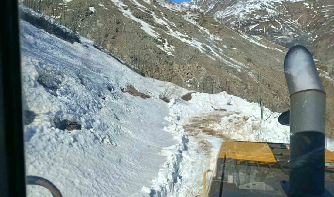 Bingöl’ün Solhan ilçesine bağlı kırsal bölgelerde kar ve heyelan nedeniyle