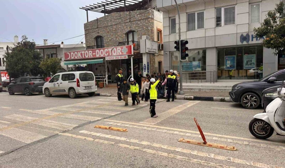 Bodrum İlçe Jandarma Komutanlığı Trafik Kısım Amirliği tarafından, Zeyyad Mandalinci