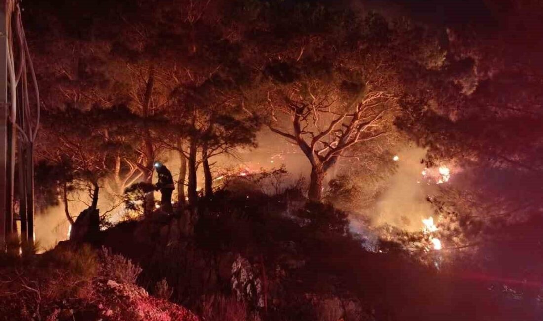 Bodrum ilçesindeki ormanlık alanda çıkan yangın, ekiplerin hızlı müdahalesi sayesinde