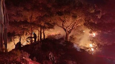 Bodrum ilçesindeki ormanlık alanda çıkan yangın, ekiplerin hızlı müdahalesi sayesinde