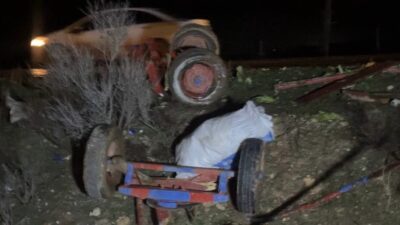 Şanlıurfa’nın Ceylanpınar ilçesinde meydana gelen bir kazada, otomobilin at arabasına