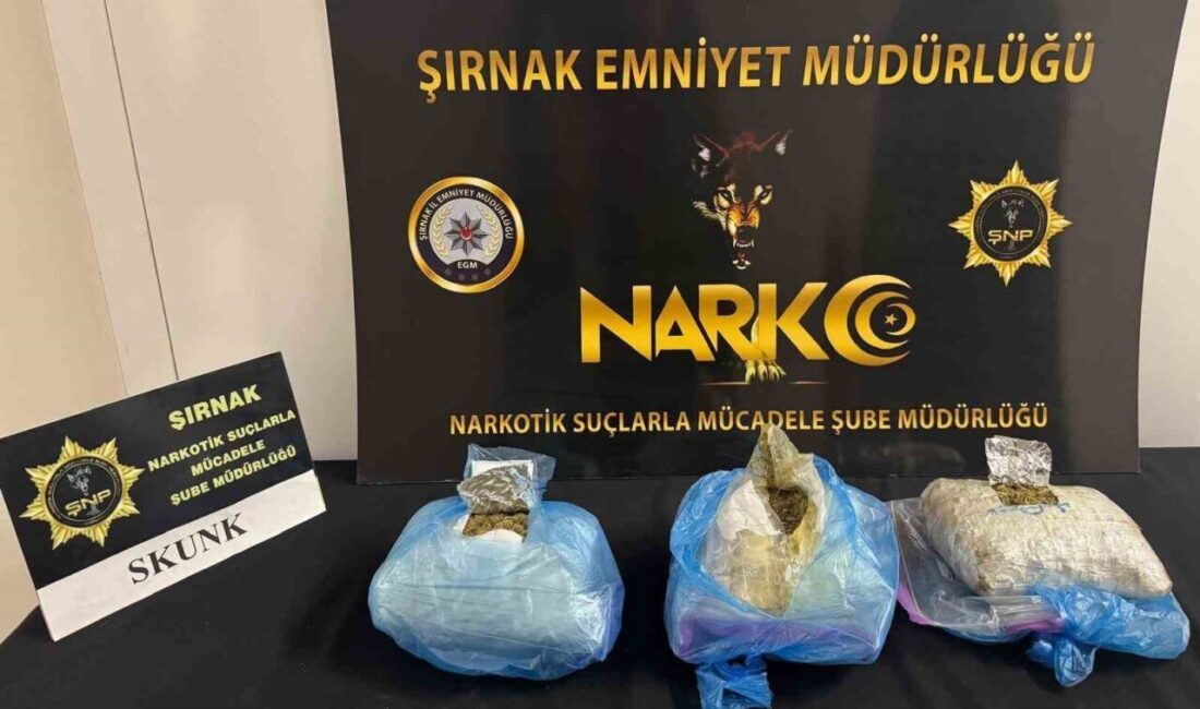 Şırnak’ın Cizre ilçesinde uyuşturucu tacirlerine yönelik gerçekleştirilen narkotik operasyonda, öncü