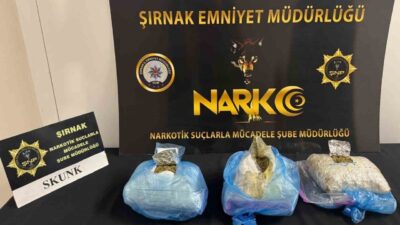 Şırnak’ın Cizre ilçesinde uyuşturucu tacirlerine yönelik gerçekleştirilen narkotik operasyonda, öncü