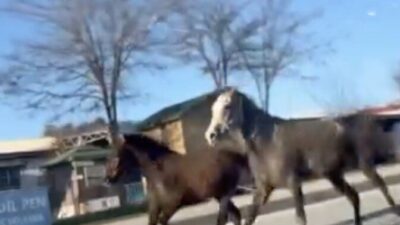 Sungurlu ilçesinde, Sungurlu Yeni Sanayi Sitesi mevkiinde trafiği tehlikeye sokan