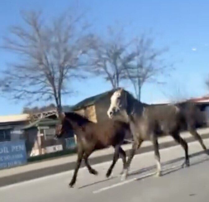 Sungurlu ilçesinde, Sungurlu Yeni Sanayi Sitesi mevkiinde trafiği tehlikeye sokan