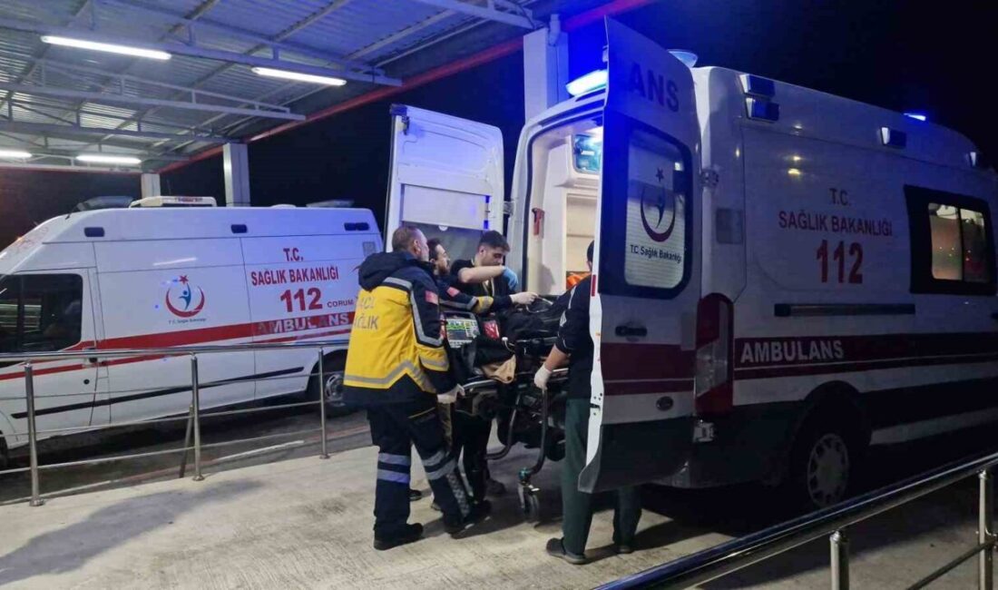 Çorum’un Alaca ilçesinde, bir apartman dairesinde meydana gelen olayda sobadan