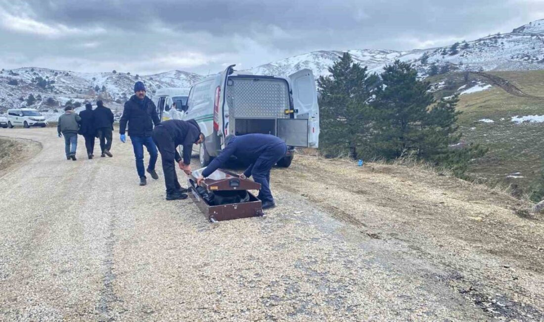 Çorum’da bir yaşlı adamın vücudu parçalanmış halde çöp poşeti içinde