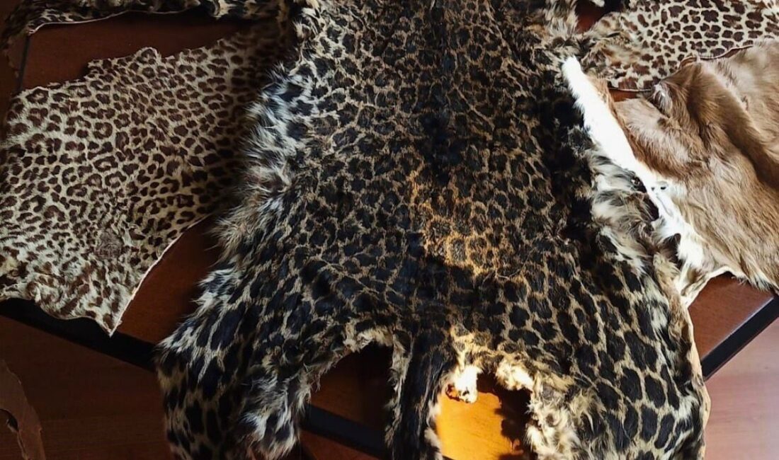 Doğa Koruma ve Milli Parklar Genel Müdürlüğü, Çukurova Uluslararası Havalimanı’ndan