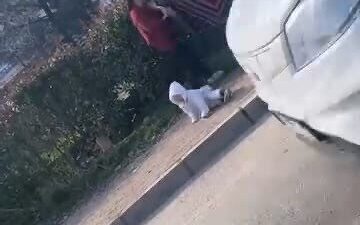 Bursa’nın Yıldırım ilçesinde dilenmek amacıyla sokakta bulunan kadınlar arasında çıkan