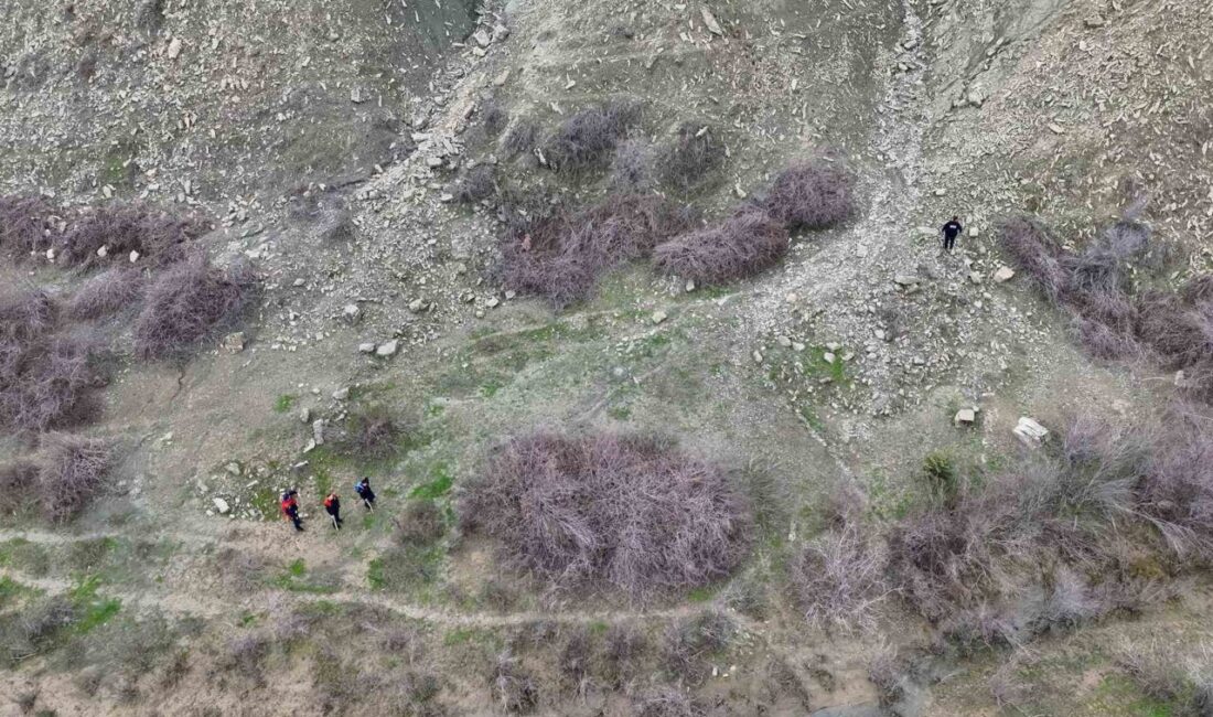 Diyarbakır’ın Kulp ilçesinde, zihinsel engelli yaşlı bir adamın kaybolmasıyla ilgili