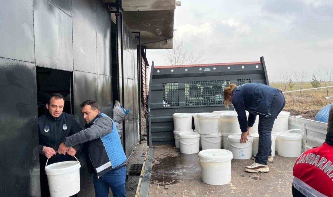 Diyarbakır’da, merkez Kayapınar ilçesi Cumhuriyet Mahallesi’nde 2 Şubat tarihinde gerçekleştirilen