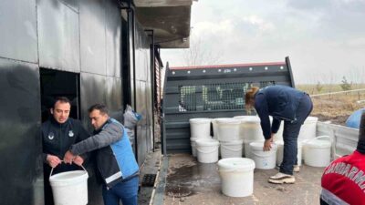 Diyarbakır’da, merkez Kayapınar ilçesi Cumhuriyet Mahallesi’nde 2 Şubat tarihinde gerçekleştirilen