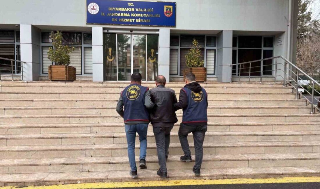 Diyarbakır’da gerçekleştirilen operasyonlarda, kesinleşmiş hapis cezaları bulunan 113 kişi jandarma