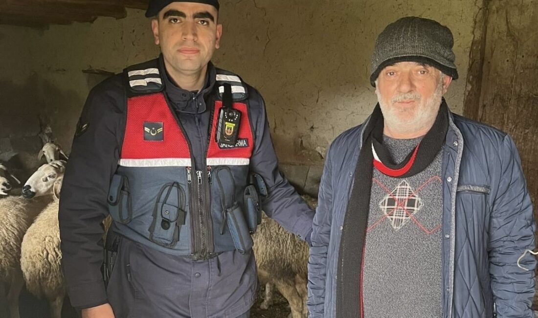 Yozgat’ın Sorgun ilçesinde kaybolan 29 adet küçükbaş hayvan, jandarma ekiplerinin