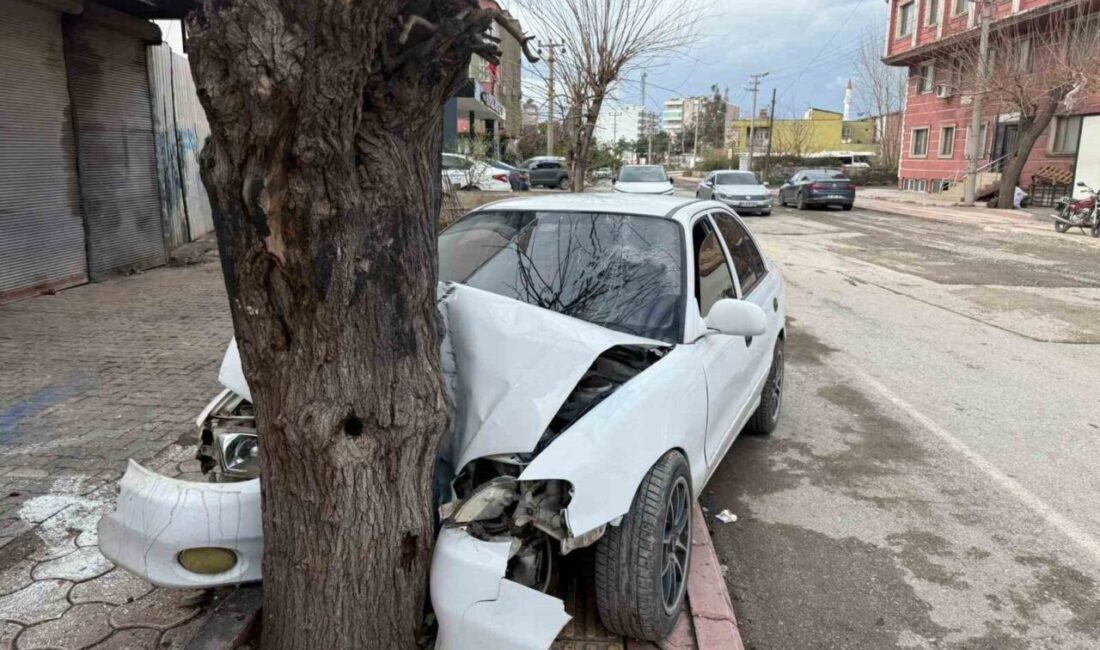 Hatay ili Payas ilçesinde, 17 yaşındaki bir genç tarafından kullanılan