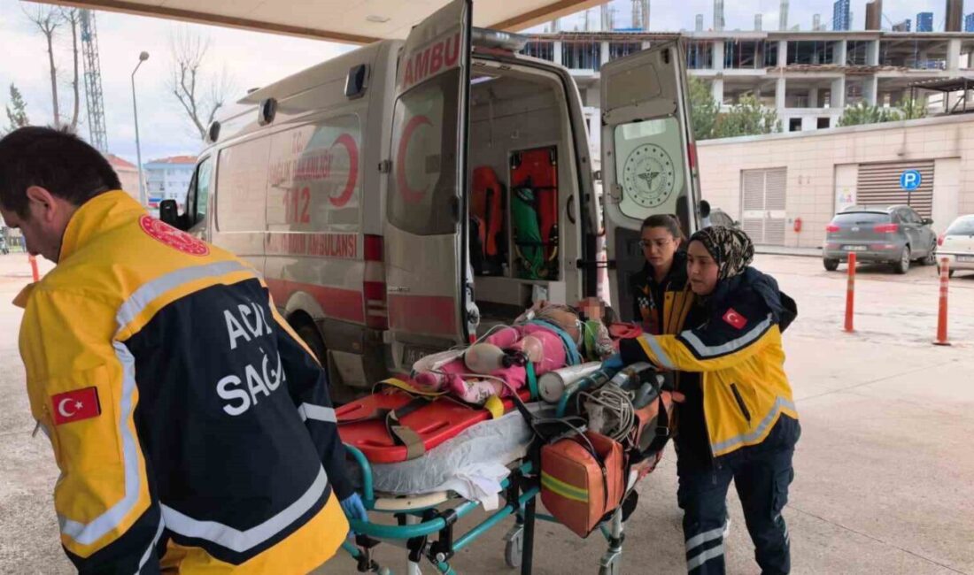 İnegöl ilçesinde meydana gelen trafik kazasında, hafif ticari aracın çarptığı