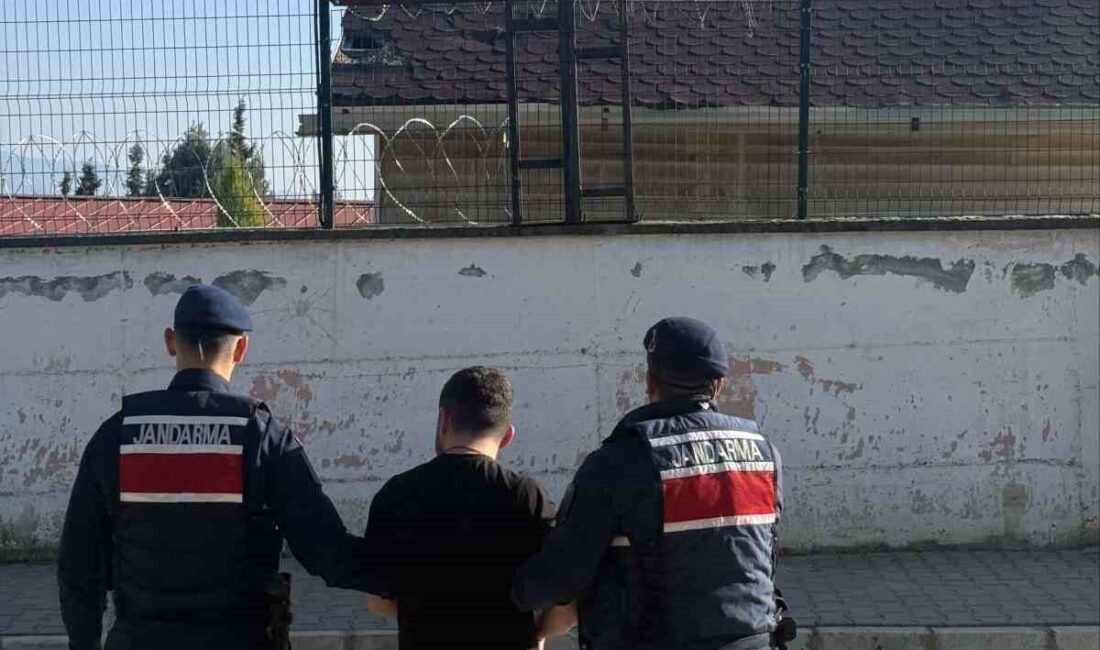 Nazilli ilçesindeki bir operasyon sonucunda, uyuşturucu suçundan aranan bir kişi