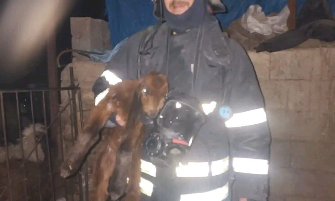 Hatay’ın Kırıkhan ilçesinde bulunan bir ahırda meydana gelen yangında bir