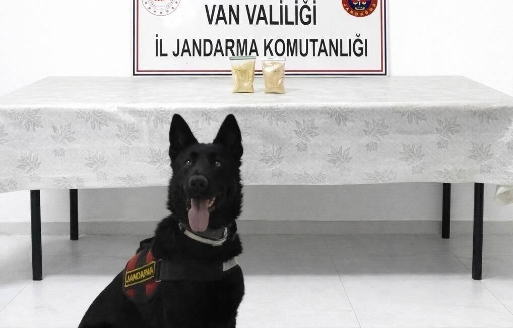 Van’ın Başkale ilçesinde jandarma ekipleri, gerçekleştirdikleri operasyonda bir şüphelinin üzerinde