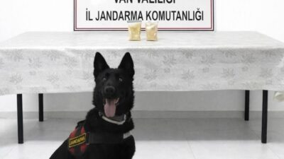 Van’ın Başkale ilçesinde jandarma ekipleri, gerçekleştirdikleri operasyonda bir şüphelinin üzerinde