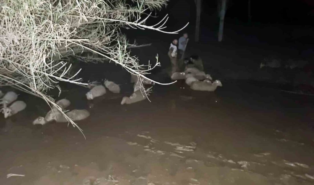 Muğla Büyükşehir Belediyesi İtfaiye ekipleri, Milas ilçesi Güneş Mahallesinde mahsur