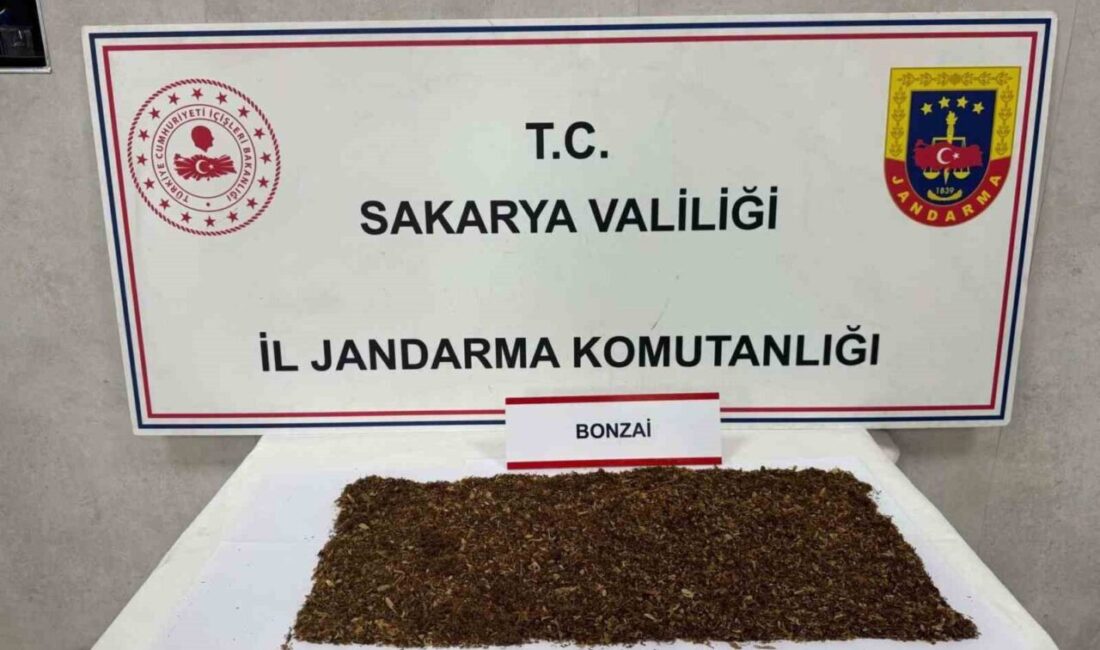 Sapanca ilçesinde gerçekleştirilen uyuşturucu operasyonunda gözaltına alınan 2 şüpheliden biri