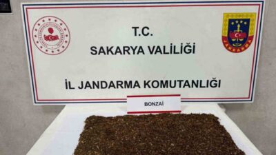 Sapanca ilçesinde gerçekleştirilen uyuşturucu operasyonunda gözaltına alınan 2 şüpheliden biri