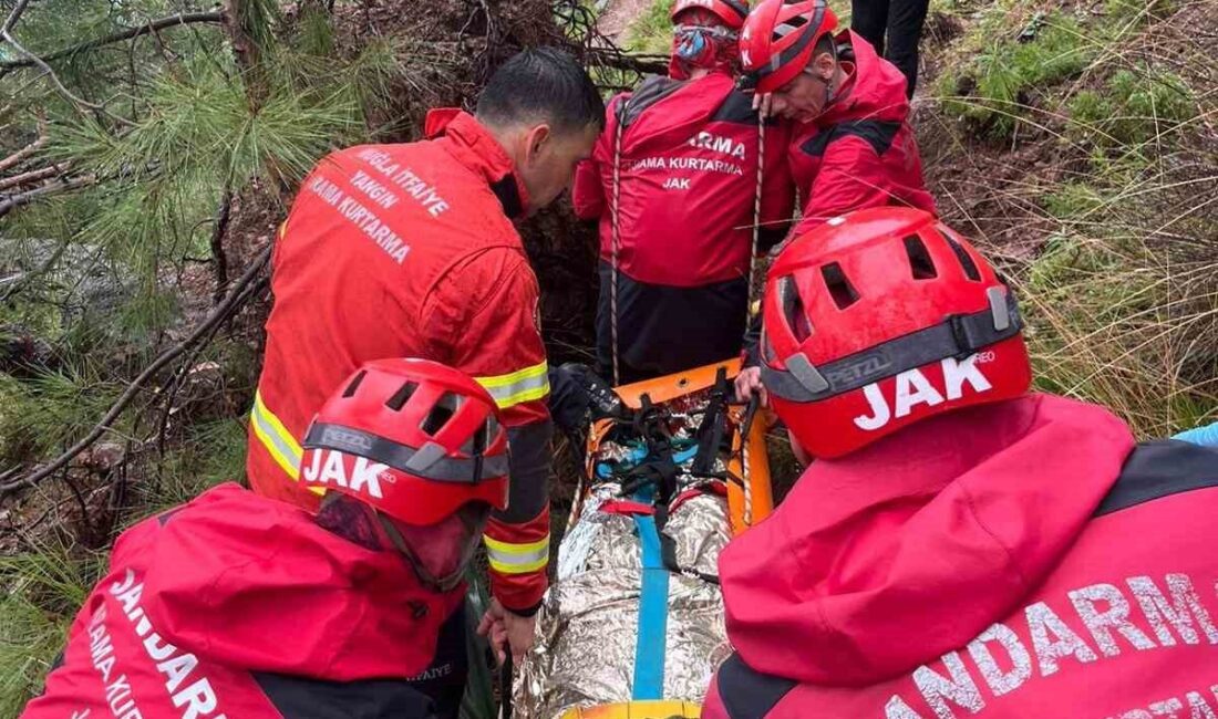 Muğla’nın Fethiye ilçesine bağlı Faralya Mahallesi’nde yer alan Kabak Koyu