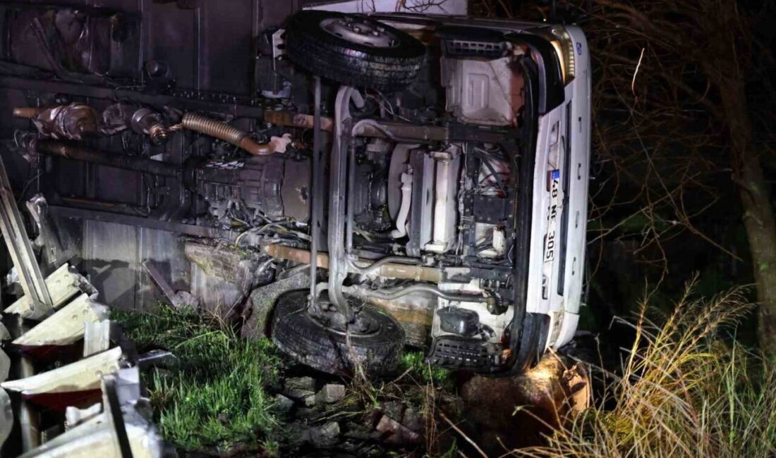 Aydın-Muğla karayolunda meydana gelen tek taraflı bir trafik kazasında bir