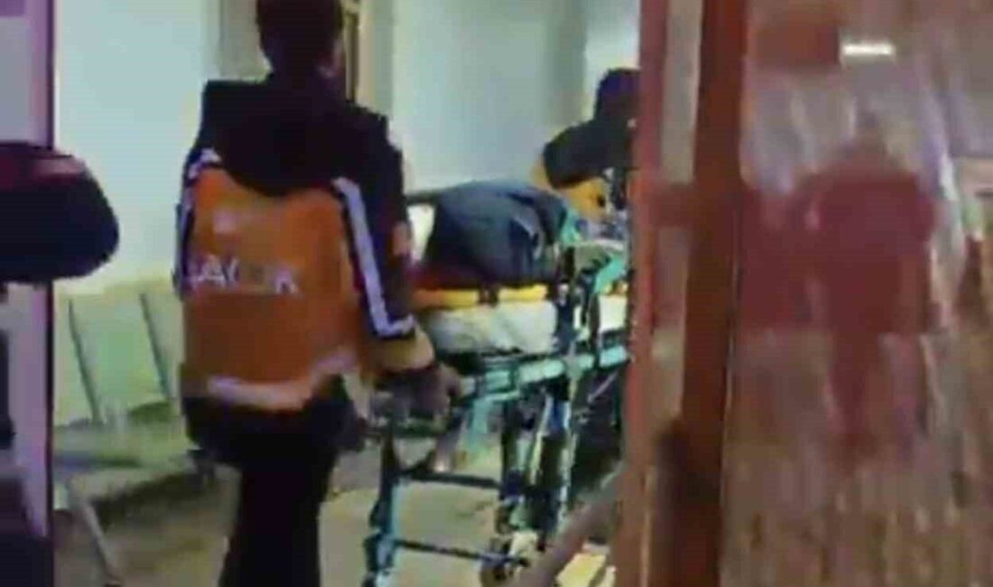 Kahta ilçesinde meydana gelen trafik kazasında kamyonetin şarampole devrilmesi sonucu