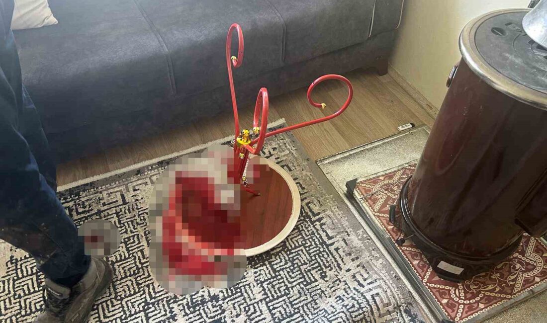 Kırşehir’in Kaman ilçesine bağlı Çağırkan köyünde şizofreni hastası olduğu iddia