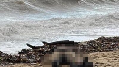 Sarımsaklı sahilinde dün bulunan kadın cesedinin kimliği hakkında bulanık bilgiler
