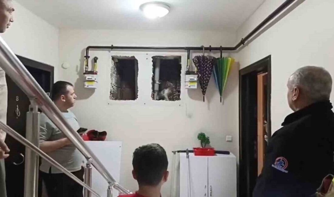 Düzce’de Sevimli Kurtarma Operasyonu: Yaser Kaan, kedinin yardım çağrısını duydu!