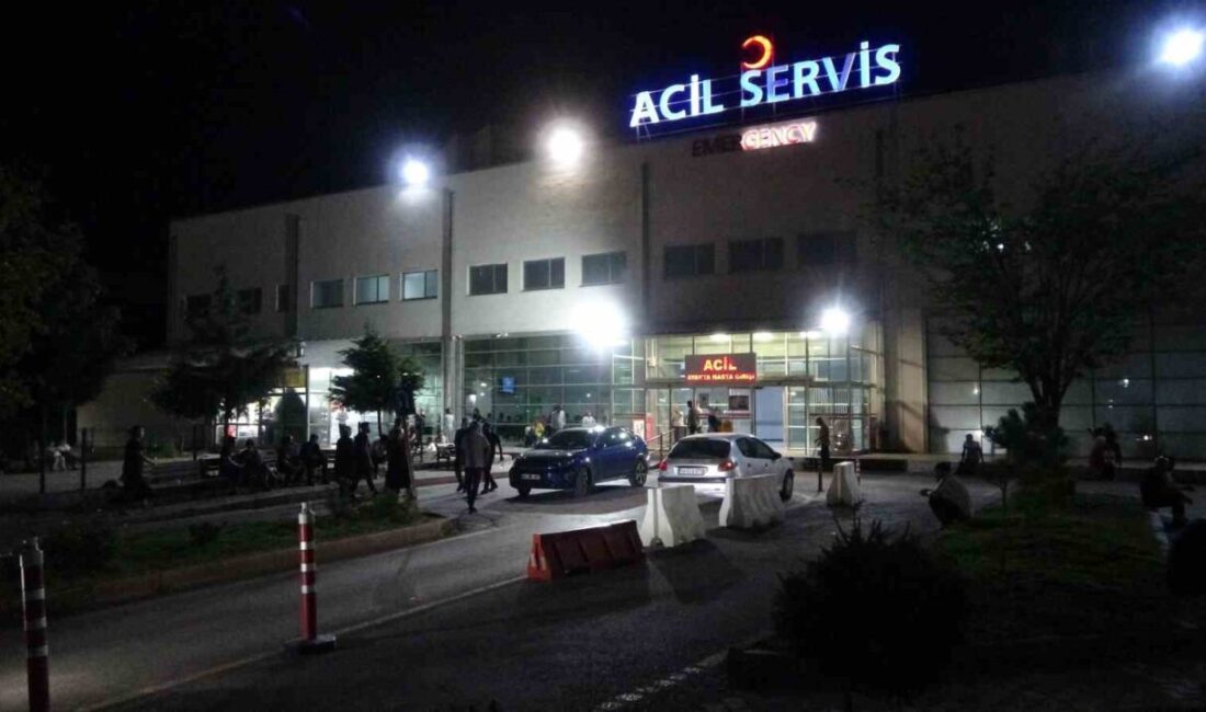 Malatya’da bir yayaya otomobilin çarpması sonucu yaşamını yitirdiği bir kaza